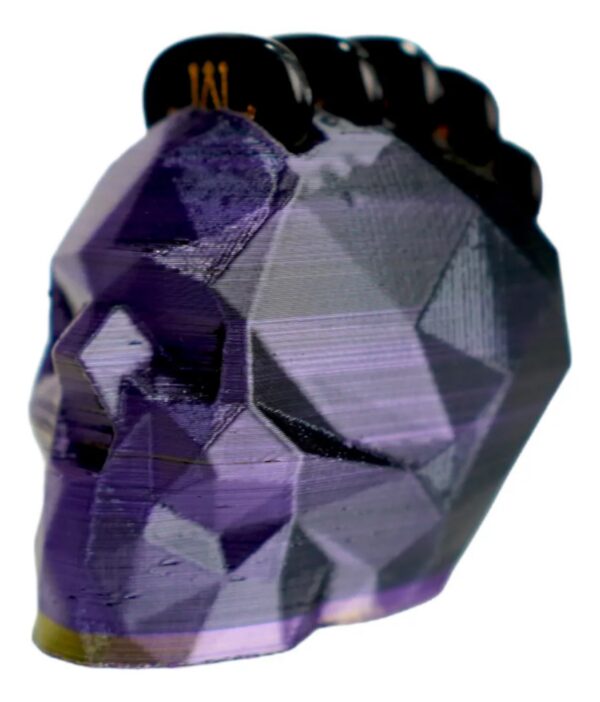 Pack Portaplumillas Calavera + 5 Plumillas Nexus Picks